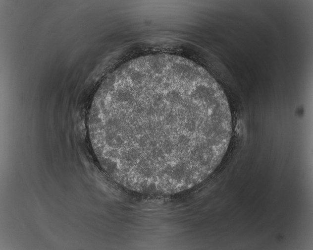 X0000115660771200912241358