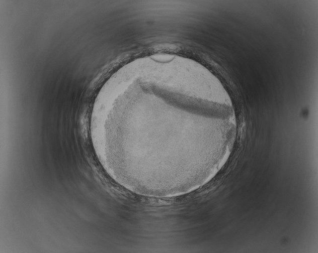 X0000115660772200912241358