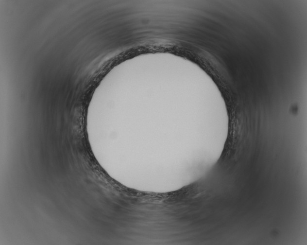 X0000115660773200912241358