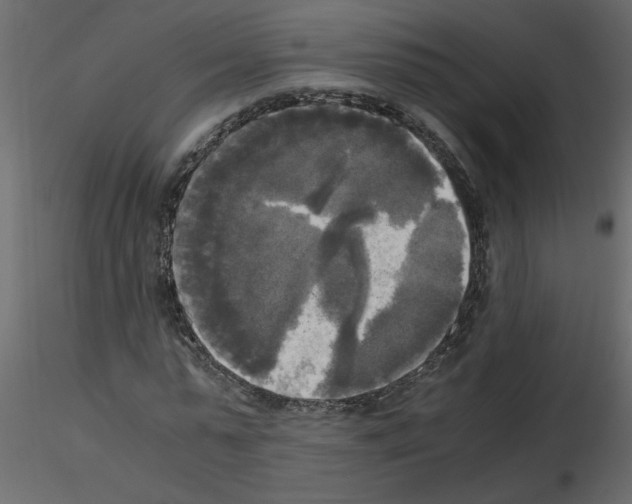 X0000115660775200912241358