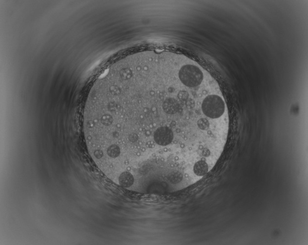 X0000115660776200912241358