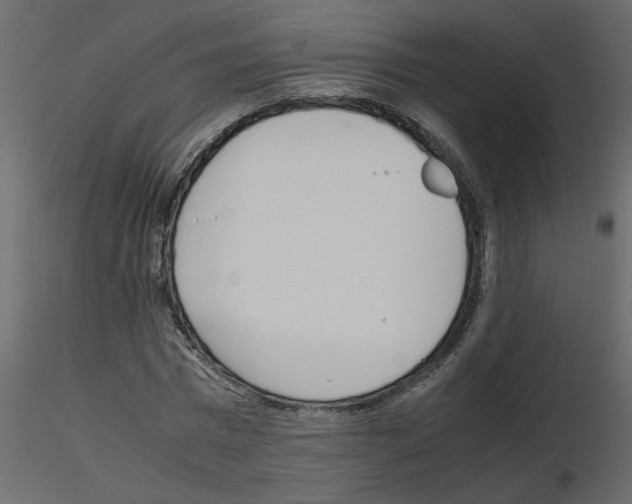 X0000115660777200912241358