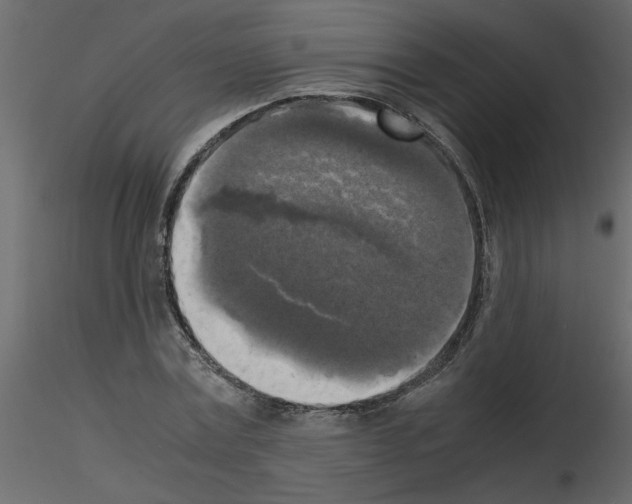 X0000115660779200912241358