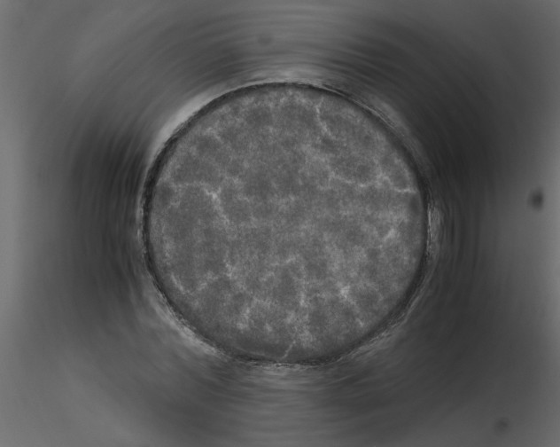 X0000115660780200912241358