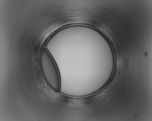 X0000115660781200912241358