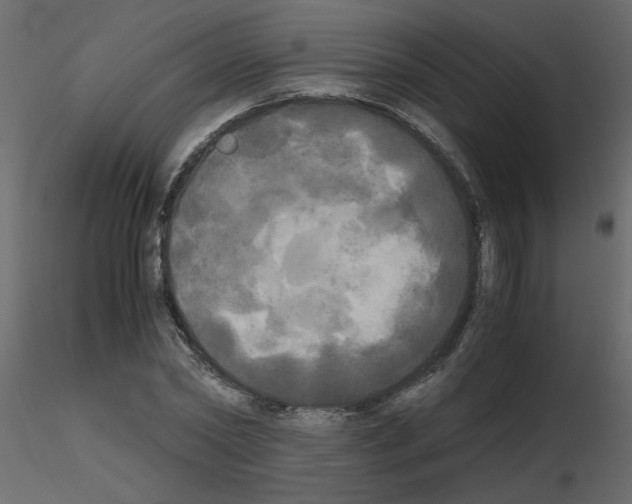 X0000115660782200912241358