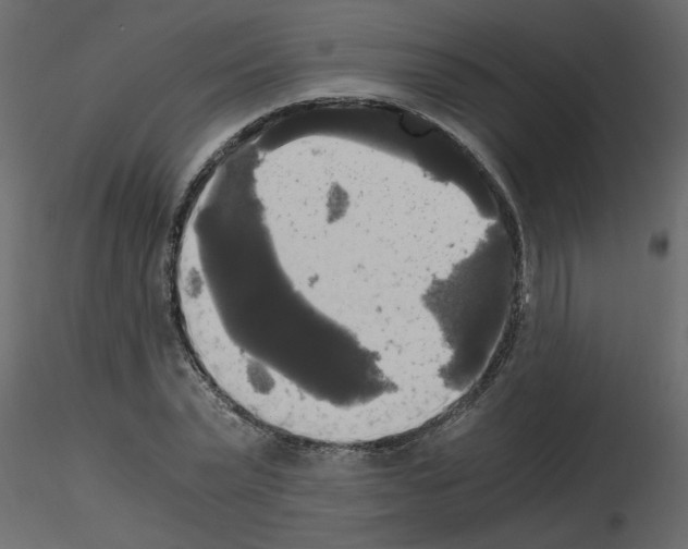 X0000115660783200912241358