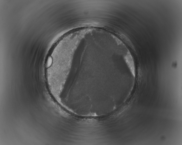 X0000115660784200912241358