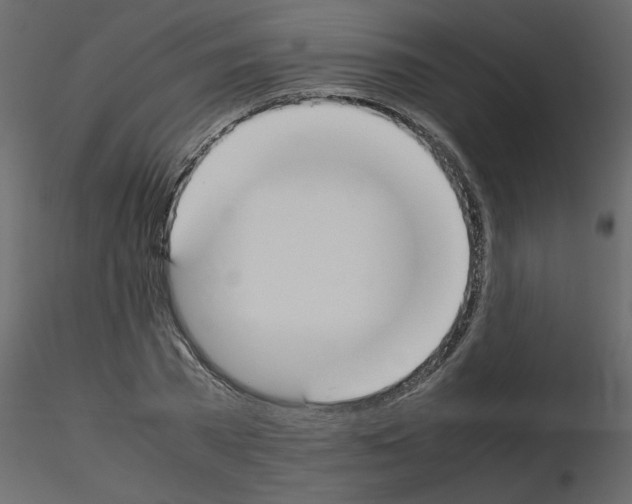 X0000115660785200912241358