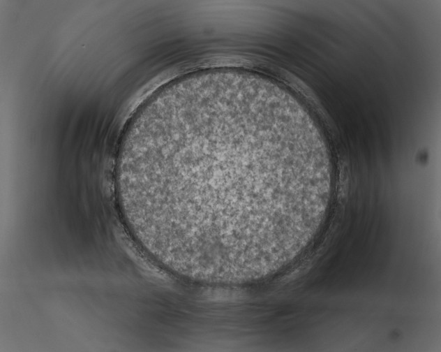 X0000115660786200912241358