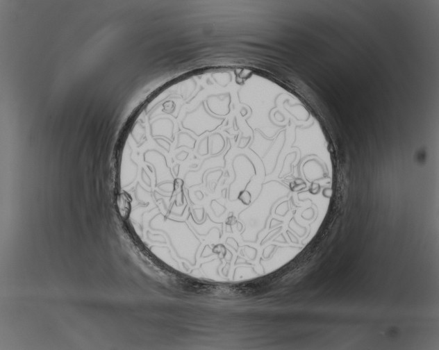 X0000115660787200912241358