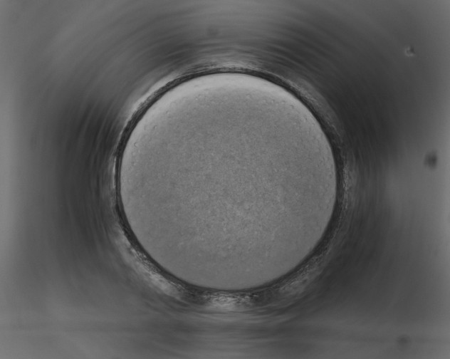 X0000115660790200912241358