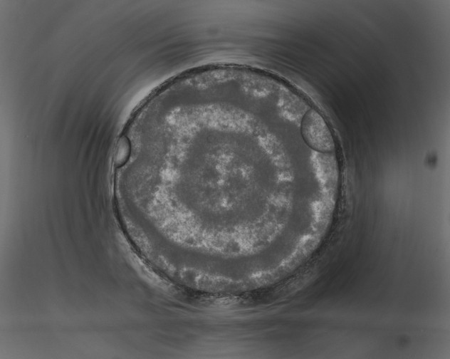 X0000115660791200912241358