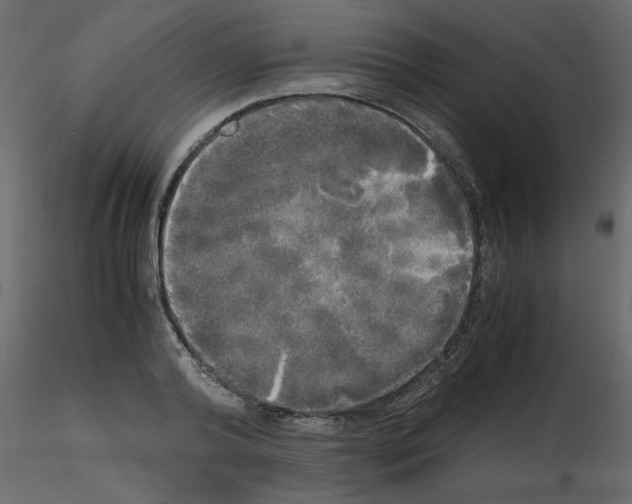 X0000115660792200912241358