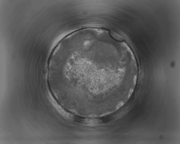 X0000115660795200912241358