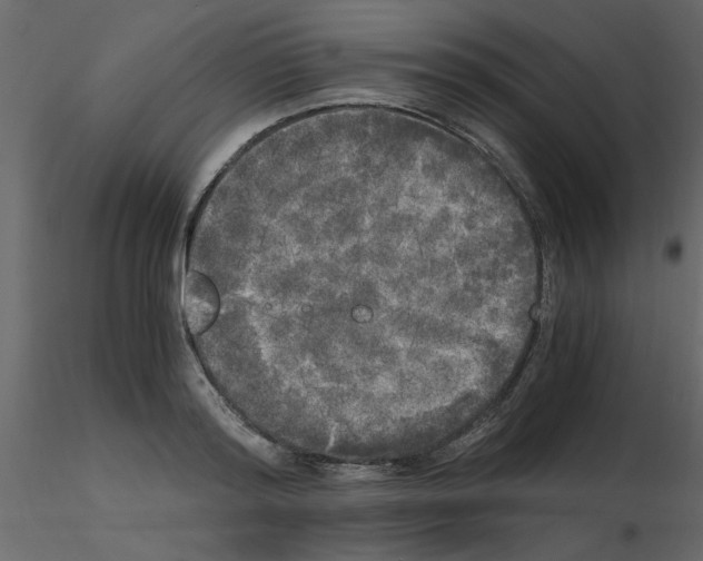 X0000115660796200912241358