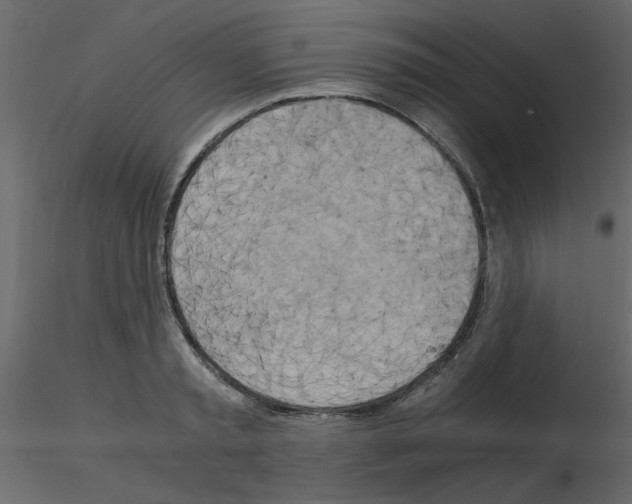 X0000115660797200912241358