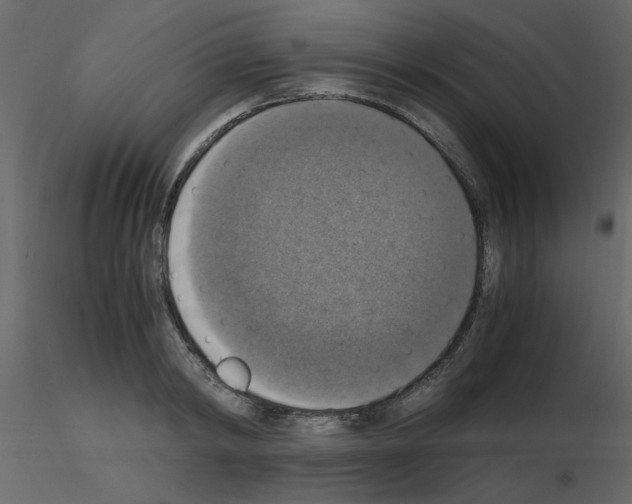 X0000115660798200912241358