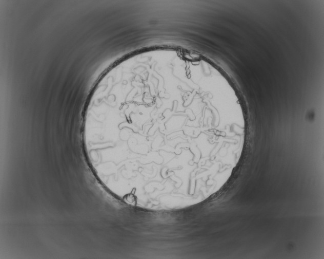 X0000115660799200912241357