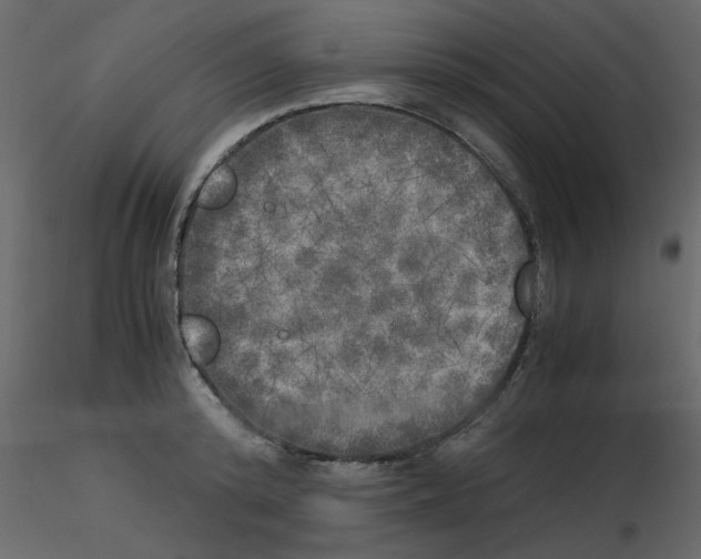 X0000115660800200912241357