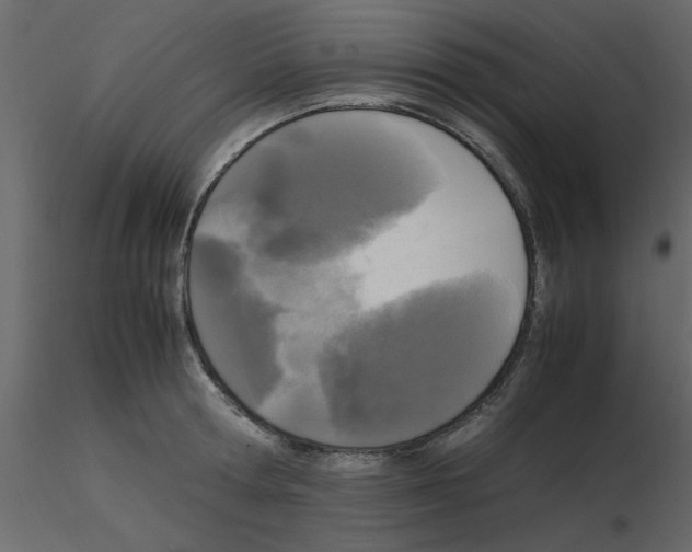 X0000115660802200912241357