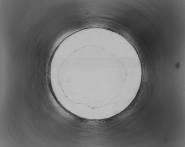 X0000115660803200912241357