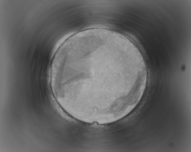 X0000115660804200912241357