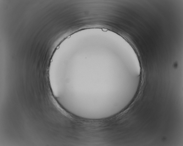 X0000115660805200912241357