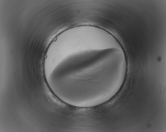 X0000115660806200912241357