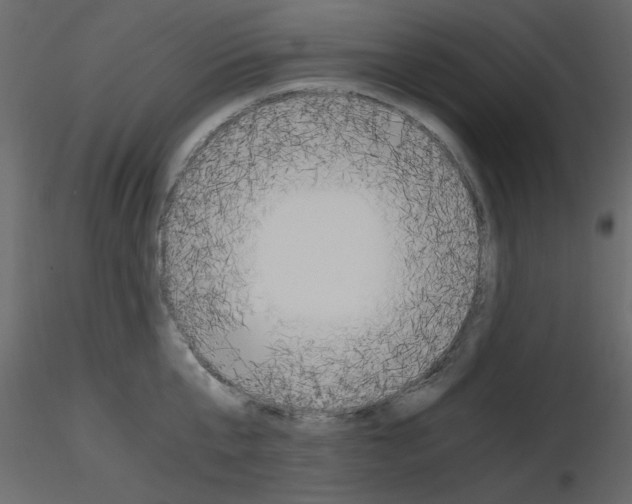 X0000115660807200912241357