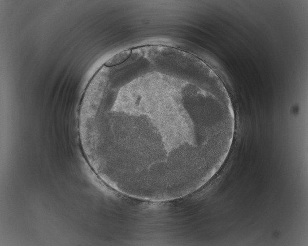 X0000115660808200912241357