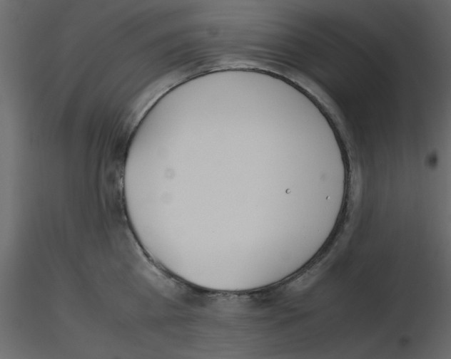 X0000115660809200912241357