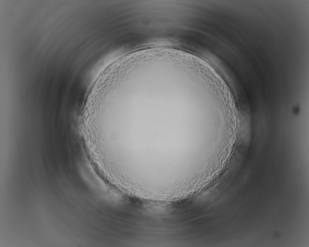 X0000115660810200912241357