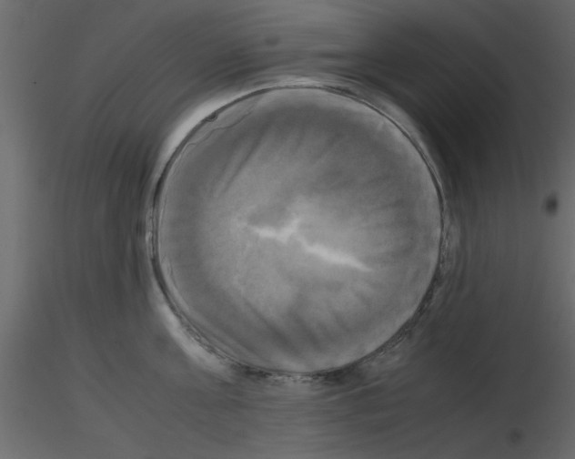 X0000115660811200912241357