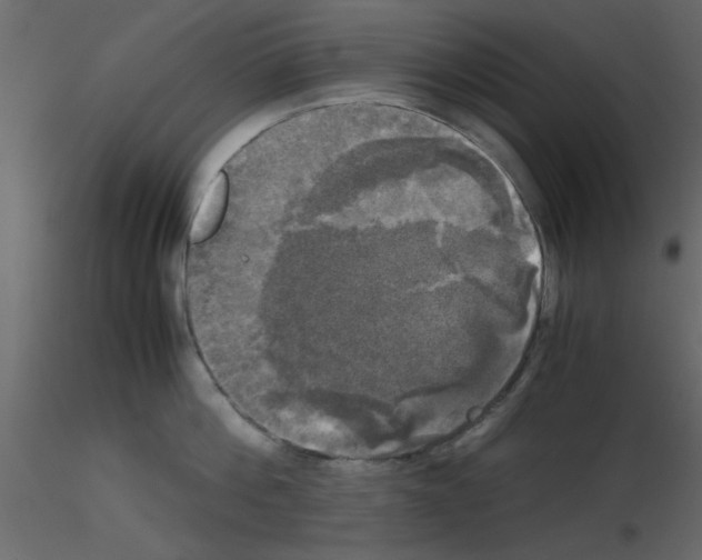 X0000115660812200912241357