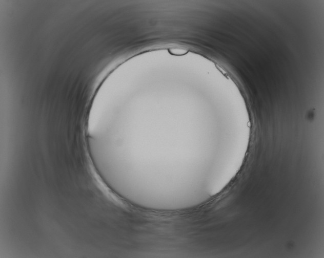 X0000115660813200912241357