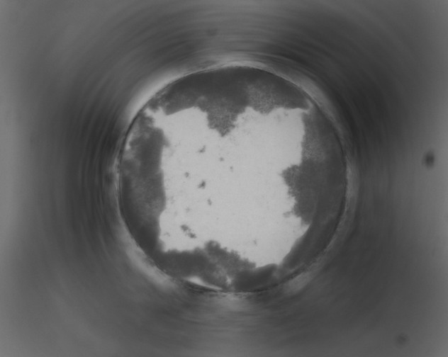 X0000115660814200912241357