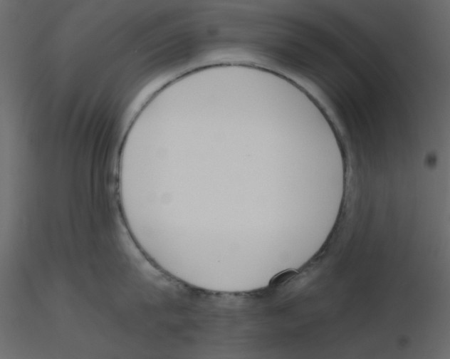 X0000115660815200912241357