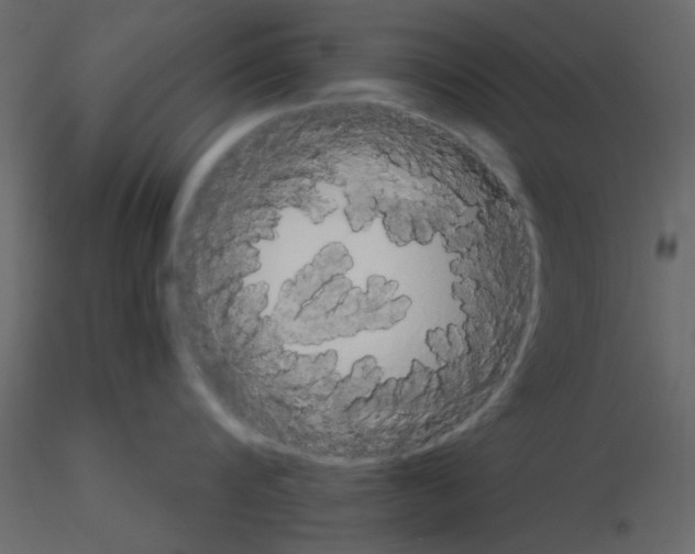 X0000115660816200912241357