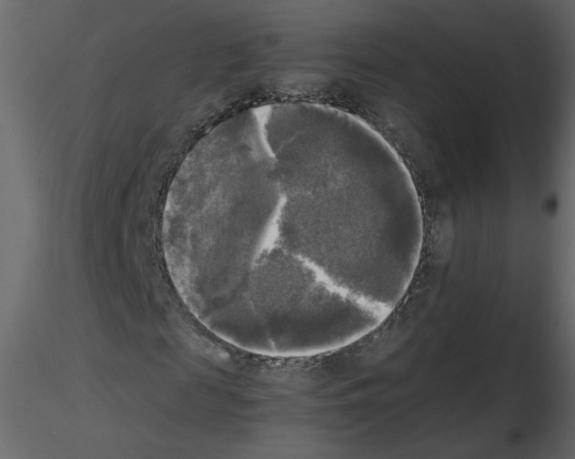 X0000115660817200912241357