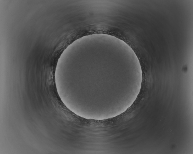 X0000115660818200912241357