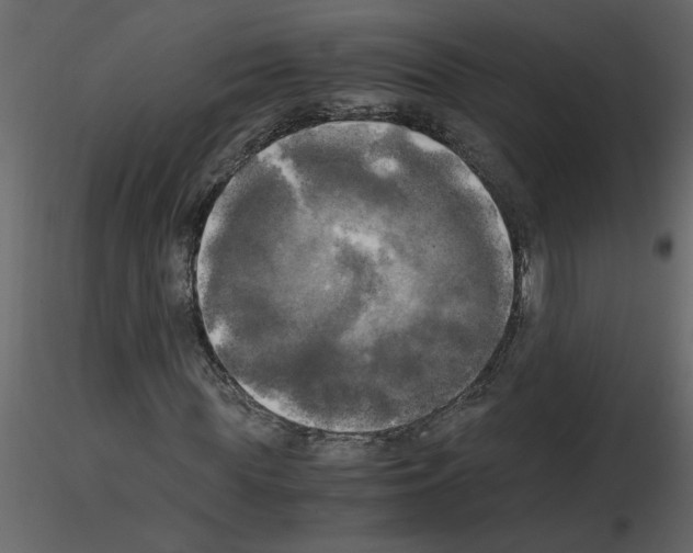 X0000115660819200912241357