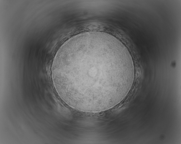 X0000115660820200912241357