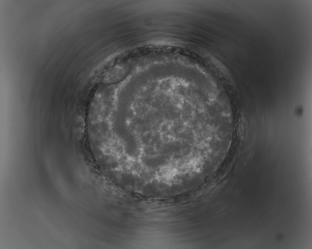 X0000115660821200912241357