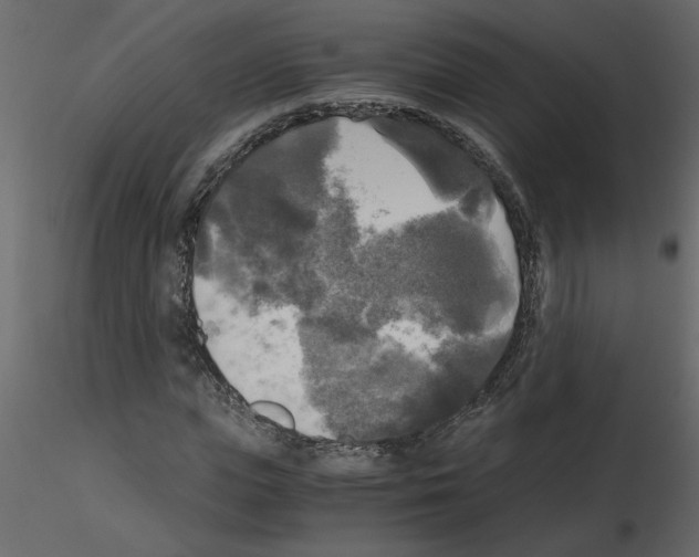 X0000115660823200912241357