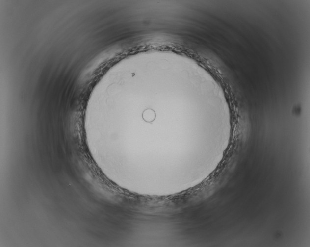 X0000115660824200912241357