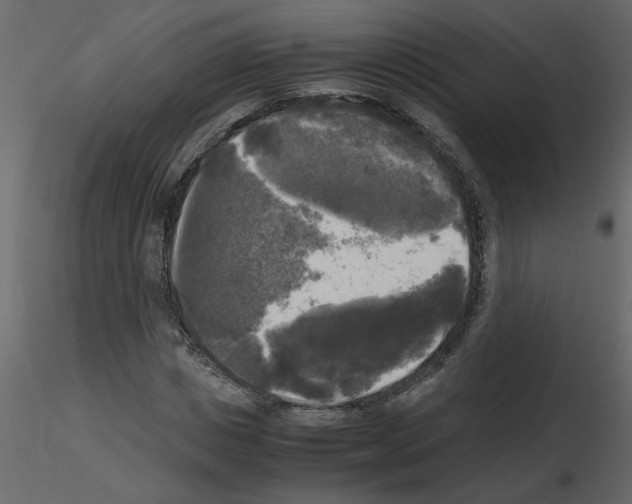 X0000115660825200912241357