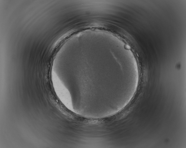 X0000115660826200912241357