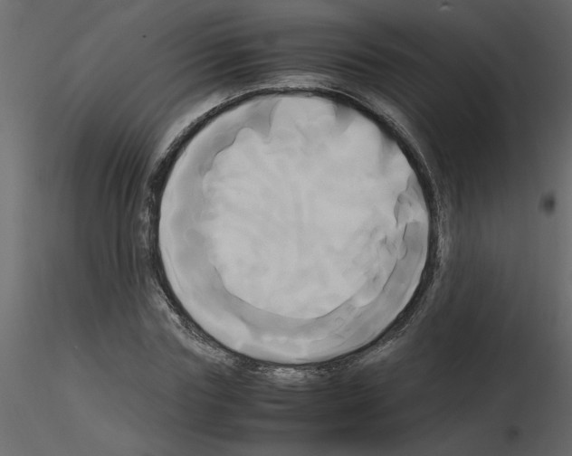 X0000115660827200912241357