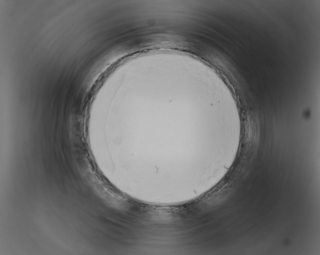 X0000115660828200912241357